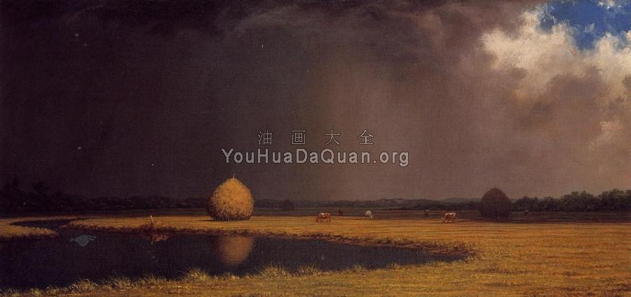 Salt Marsh Hay - 马丁·约翰逊·赫德